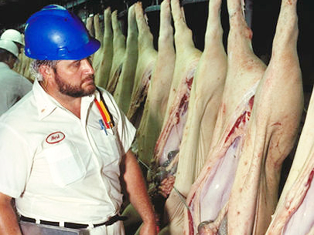 A USDA inspector examines pork carcasses. More meatpacking plants are starting to see challenges tied to the COVID-19 pandemic. At least two Iowa plants on Monday suspended operations because their staff tested positive for the coronavirus. (Photo courtesy of USDA)